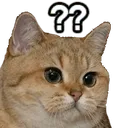 Emoji chat_question
