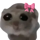 Emoji hamsteregirl