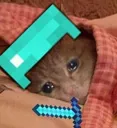 Emoji LAM_D0_sadsleepminecraftcat