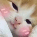 Emoji LAM_A0_cutecatblush