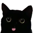 Emoji LAM_darkcat