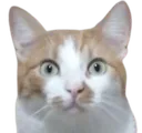 Emoji sanyeomg