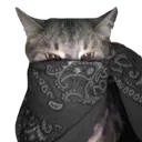 Emoji Black_Cat