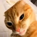 Emoji emoji_77