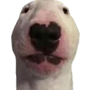 Emoji walter