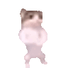 Emoji CatDance