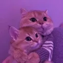 Emoji luv