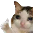 Emoji cat_ok