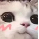 Emoji uwucat