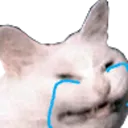 Emoji whyucrying