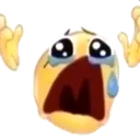 Emoji boohoo