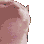 Emoji catdanse