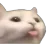 Emoji cat