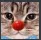 Emoji clown