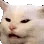 Emoji cat1