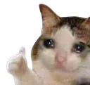 Emoji Cat_crying