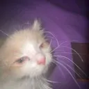 Emoji sleepy