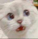 Emoji choqu