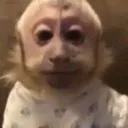 Emoji nigmonkey