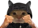 Emoji ChatBagarre_LS