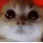 Emoji ChatEnerve_LS