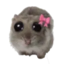 Emoji hamstha
