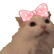 Emoji Chat_Coquette_LS