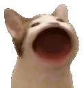 Emoji pogcat