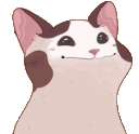 Emoji PogCatAnimated