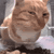 Emoji Odyssee_emoji_177