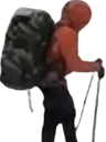 Emoji mule2