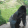 Emoji bp_gorilla