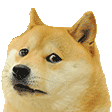 Emoji dogebye