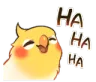 Emoji birblaugh