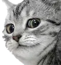Emoji ChatJugement_LS