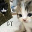 Emoji hi2