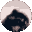 Emoji pedro