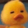 Emoji DuckSmug