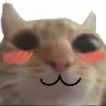 Emoji uwu_cat