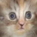 Emoji animal_cat_cho_za_huinya