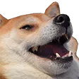 Emoji dogelaugh