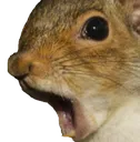 Emoji pogsquirrel