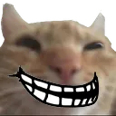 Emoji trollcat