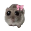Emoji animalmemehamstercoquette
