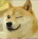 Emoji TechnoDogClinOeil