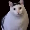 Emoji huh