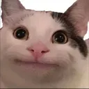 Emoji 00
