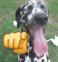 Emoji 4124pantherlmaostickersgg