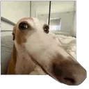 Emoji 9200dogsniffstickersgg