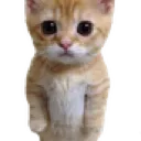 Emoji Oka_CatStanding
